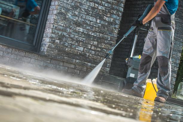 Animal Enclosure Cleaning in Carrabelle, FL