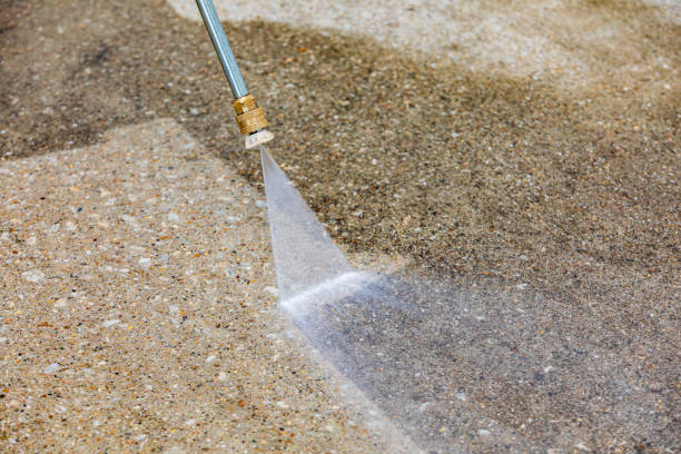 Best Sidewalk and Walkway Cleaning  in Carrabelle, FL
